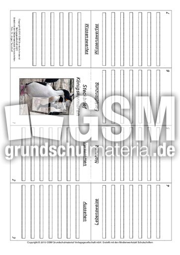 Faltbuch-Königskormoran.pdf